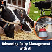 Advancing Dairy Management with Artificial Intelligence