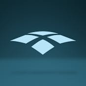 Foundations of Professional Identity