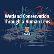 Wetland Conservation Through a Human Lens